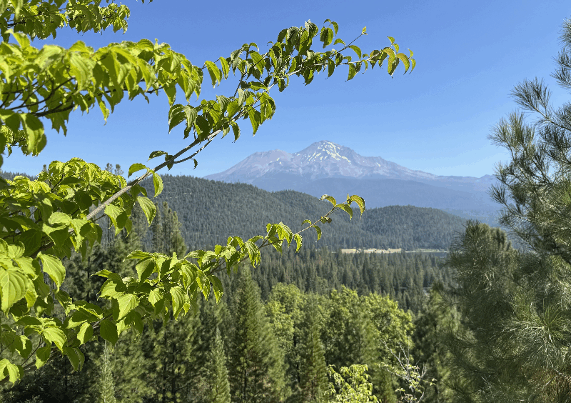 Festival do 6º Raio de Luz de 2025 + Iniciação Opcional (2h e 3 minutos)